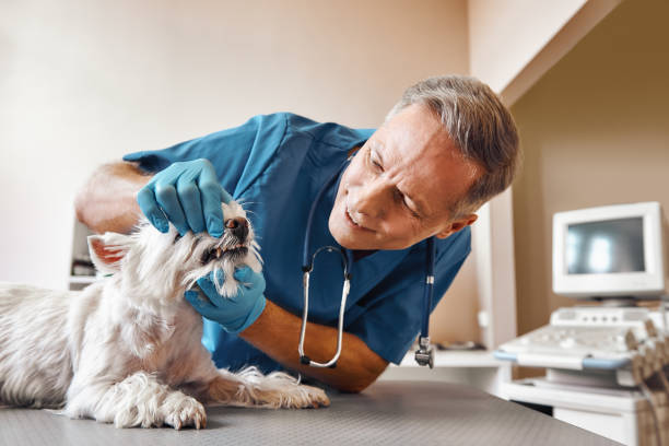 Best Emergency Root Canal Treatment in Wadley, GA